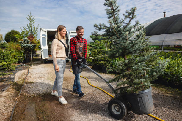 Lawn Irrigation Installation and Maintenance in Paulden, AZ